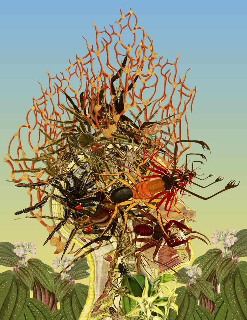 Illustration for article titled Surreal Collages of Animals, Plants, and Body Parts Are Subtly Creepy